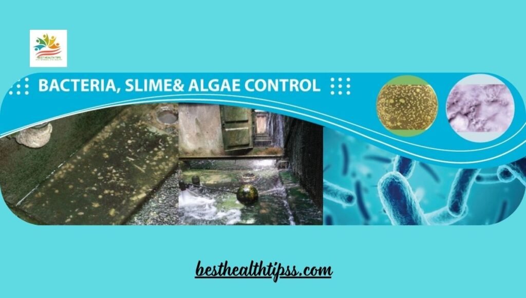 effective in killing off bacteria and algae