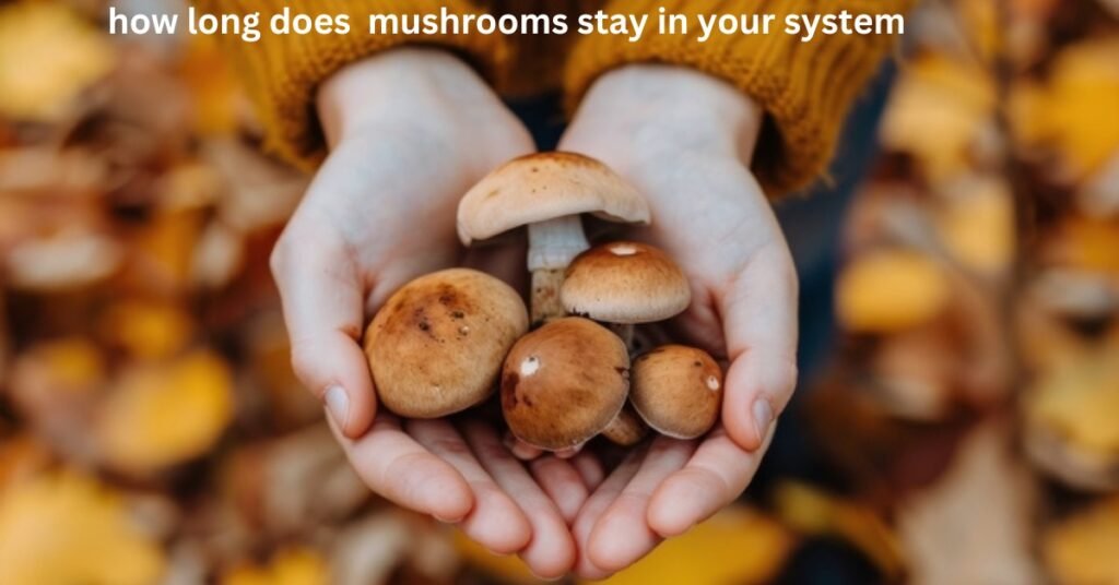 How Long Does Magic Mushrooms Stay In Your System?