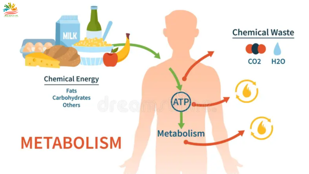 tirzepatide dosing for weight loss in units